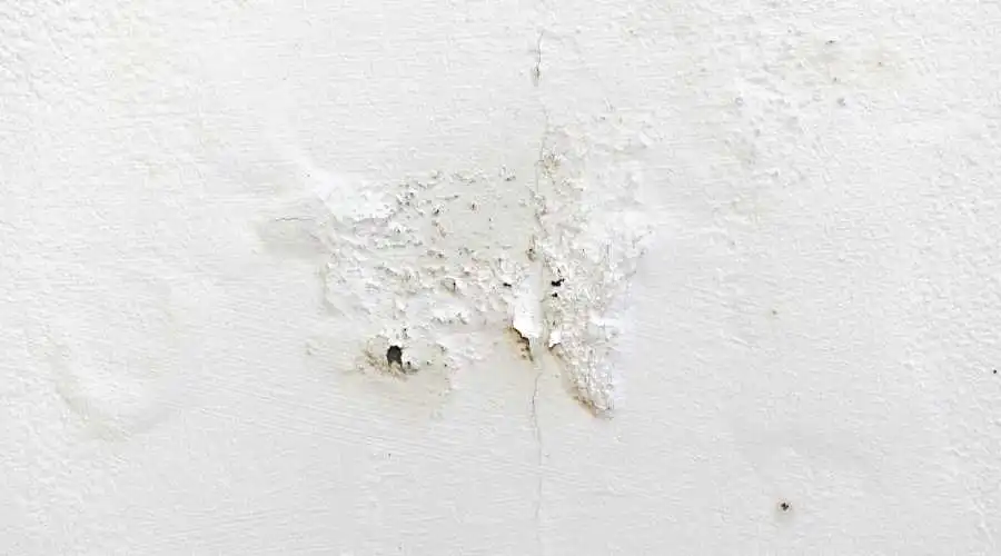03.1 - signs that your stucco has water damage