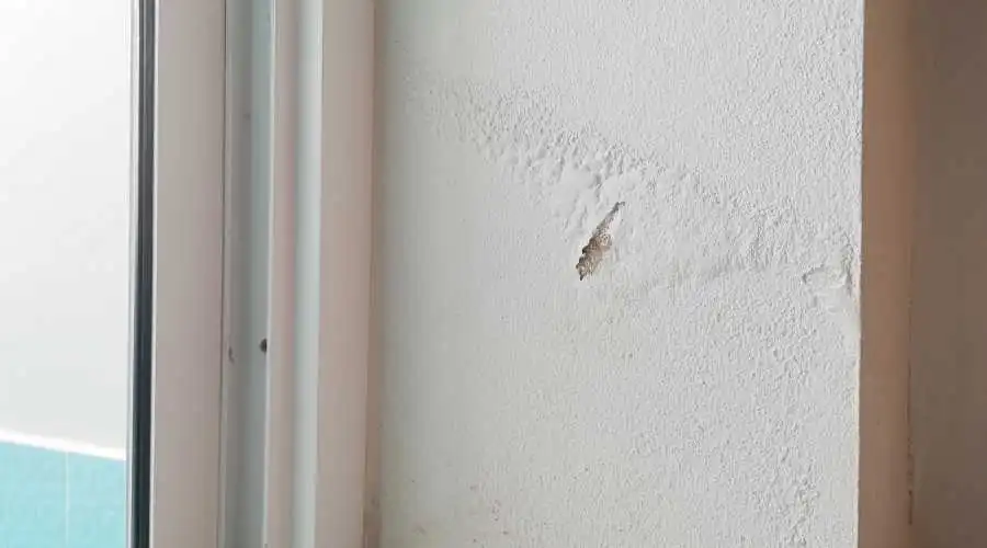 03.5 - signs that your stucco has water damage